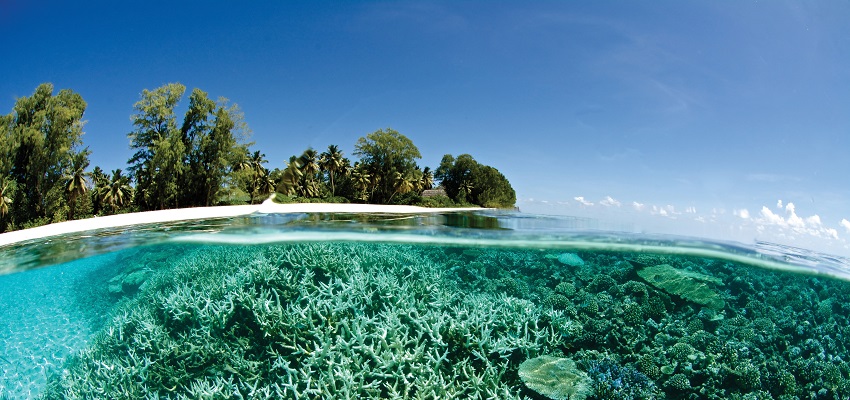 Отчет о климатическом финансировании The Global Migration за 2025 год