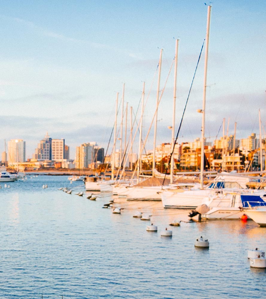 Sailboats docked with a city skyline at sunset.