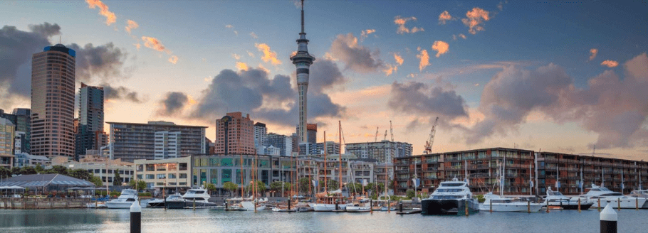 Virtual Seminar: The New Zealand Active Investor Plus Visa Program
