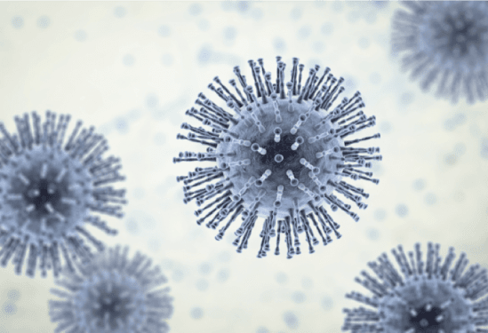 Nationalism, Mobility, and Citizenship in the Covid Era