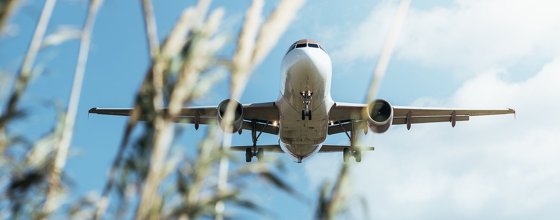 Aircraft flying low over plants