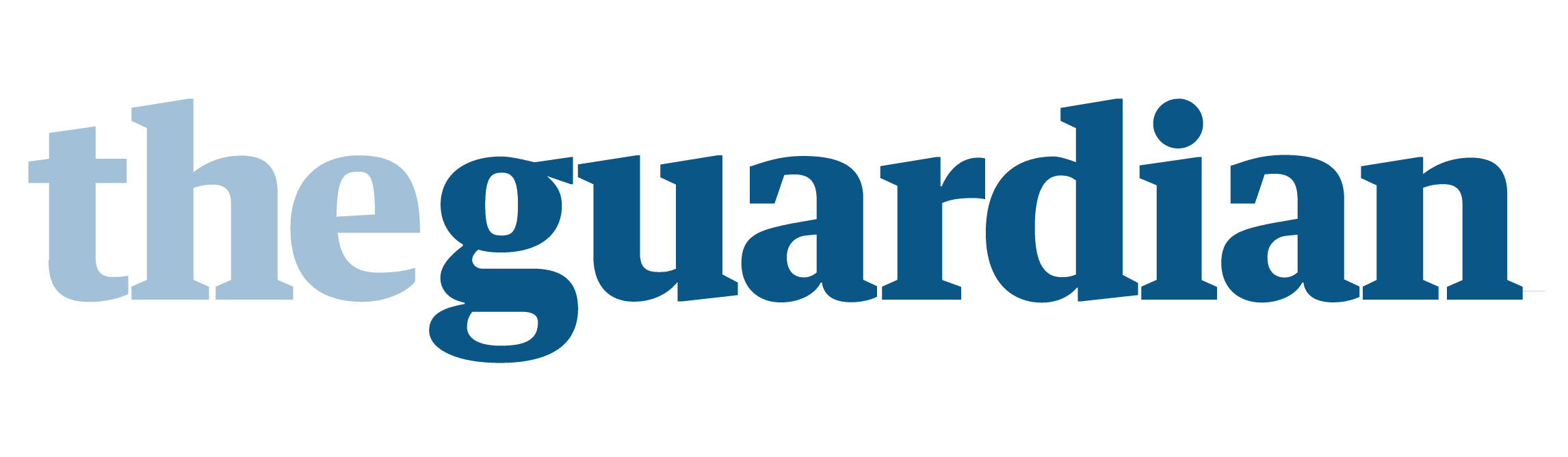 Article logo